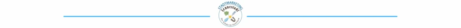 Linie Stadtmarketing Logo